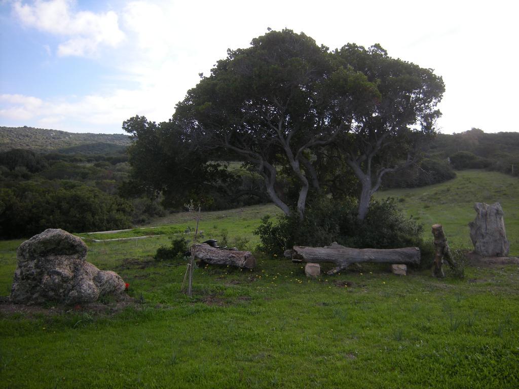 Country House Vignola Mare Aglientu Esterno foto