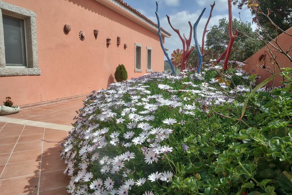 Country House Vignola Mare Aglientu Esterno foto