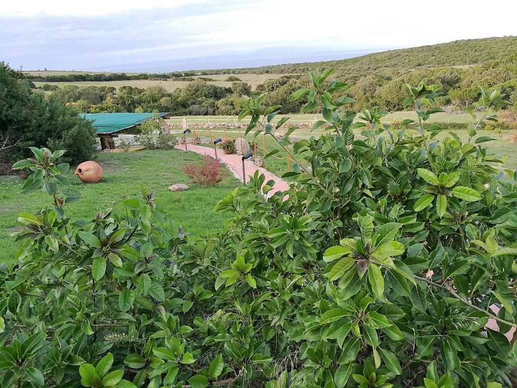 Country House Vignola Mare Aglientu Esterno foto