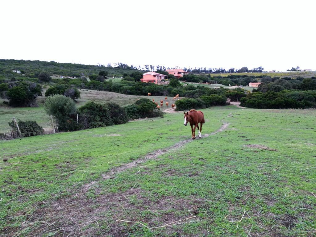 Country House Vignola Mare Aglientu Esterno foto